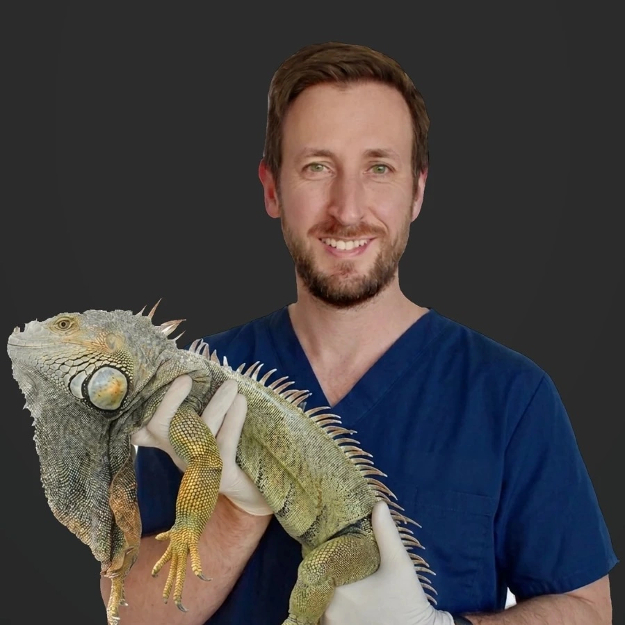 Dr. Dean Felkler