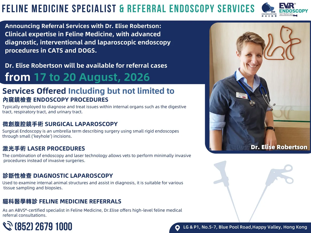 Dr. Elise Robertson providing feline and canine referral services in Hong Kong