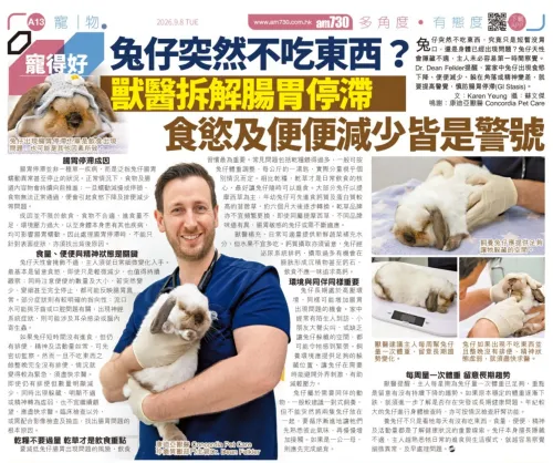 Dr Dean Felkler Shares Rabbit Health Advice with am730