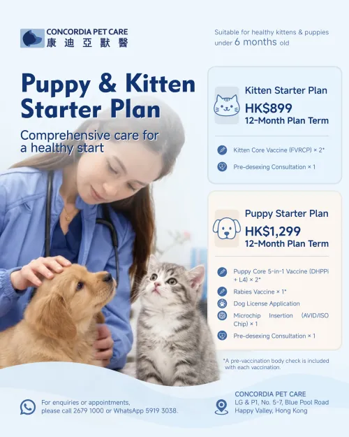 Puppy & Kitten Starter Plan | Vaccinations and Pre-desexing Consultation