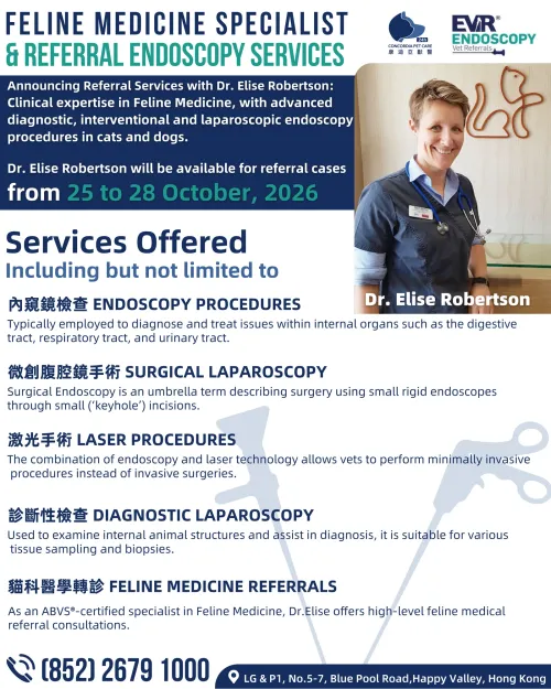 Dr. Elise Robertson Visiting October | Cat and Dog Referral Services
