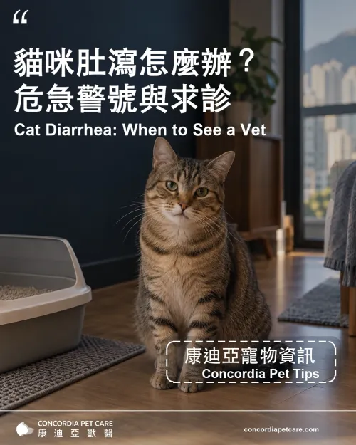 Cat Diarrhea Warning Signs: When to See a Vet