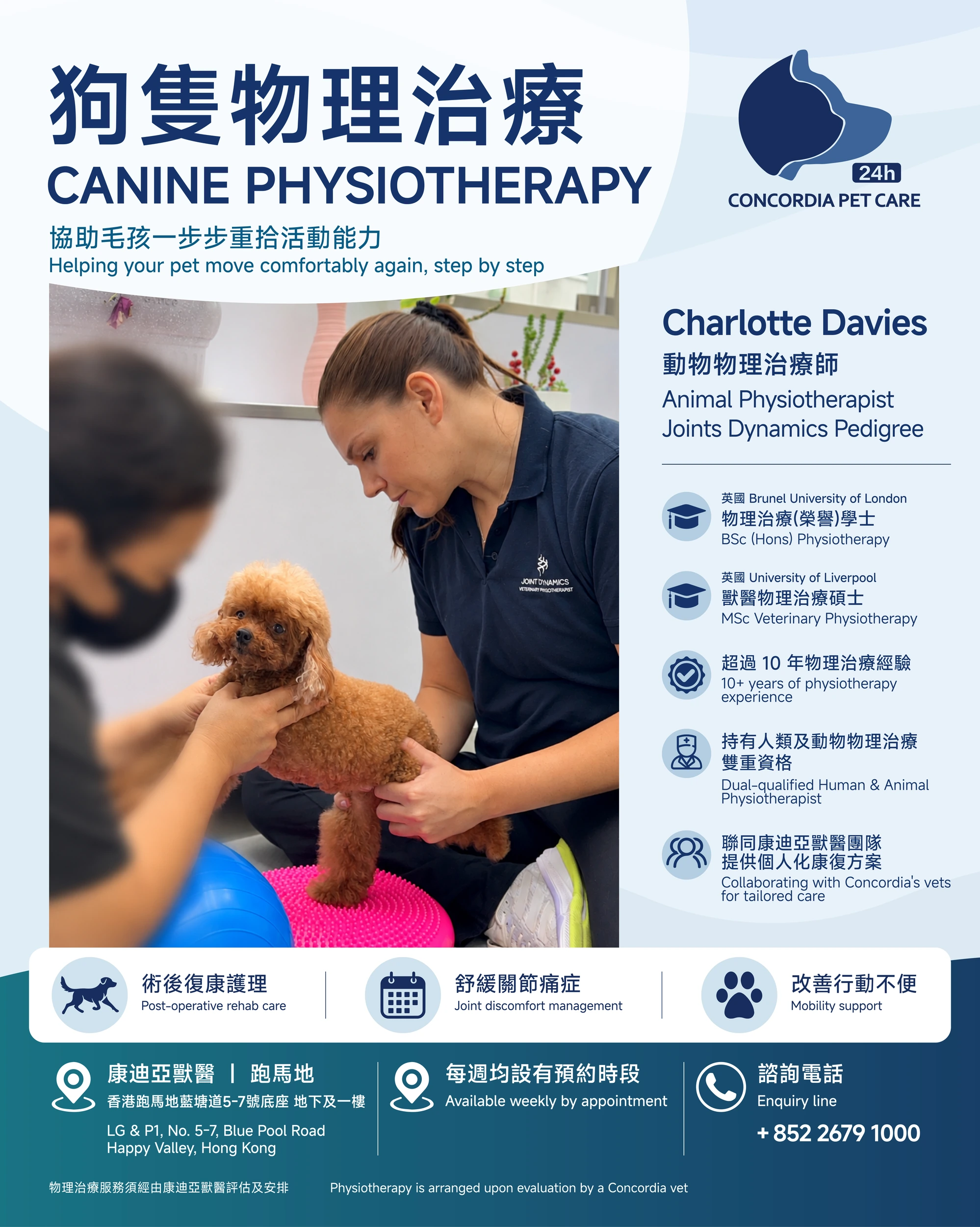 Canine Physiotherapy at Concordia Pet Care